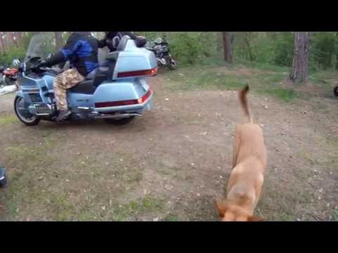 Коростышев гран. карьер Ч-ІІ