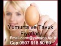 Toptan Tavuk Fiyatları, Toptan Yumurta Fiyatları www.pilic.biz.tr - Film Yorum