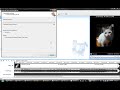 Forma correcta de Guardar videos en Windows movie maker.