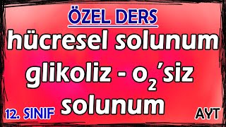 12 Hücresel Solunum - Glikoliz - Oksijensiz Solunum - Özel Ders 12. Sınıf