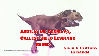 Auxilio Me Desmayo, Callese Viejo O Remix Suscribete