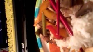 Watch Silje Nergaard The Diner video