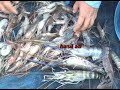 image Mancing Udang Galah Di Sungai X West Borneo Mggu 24 Mei 2009 Budak Pontianak Yg Mncintai Hobinya