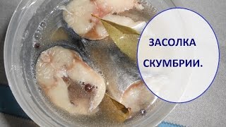 Рецепт засолки скумбрии в домашних условиях в рассоле 576