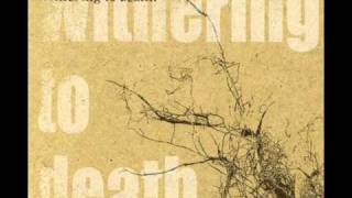 Watch Dir En Grey Dead Tree video