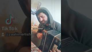 რამდენი ხანია ეს მთვარე ამოდის ასრულებს ზაალი იმერლიშვილი