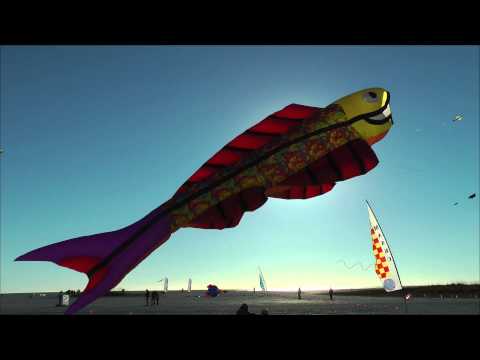 Treasure Island Kite Festival 2014. Bilmar Beach. Florida.