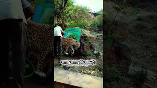 समय समय क बत हNahargarh Biological Park Jaipur Zoo Jaipur Tourists Place