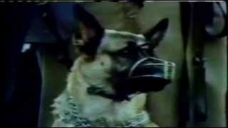 Tourniquet - Ark Of Suffering Videoclip Hd Subulado
