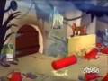 Tom && Jerry Video