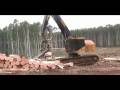 Tigercat TH575 harvesting head eucalyptus processing applications in Australia and Brasil Part One
