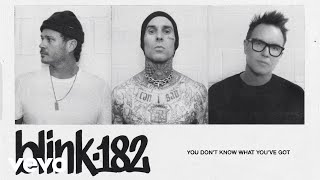 Blink-182 - You Don't Know What You've Got (Official Lyric Video)