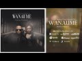 Lady Jaydee Feat Mwana FA - Wanaume Kama Mabinti (Official Audio) Sms 8829242 to 15577 Vodacom Tz