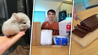 Evcil Hayvanım Doğurdu, 100.000 TL Paket Açılışı, Japon Pastası! (Haftalık Vlog)