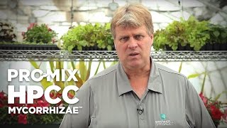 HPCC MYCORRHIZAE (en español)