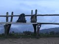 A Short Nepali Movie Eyes In The Flower A Diwaaz ...