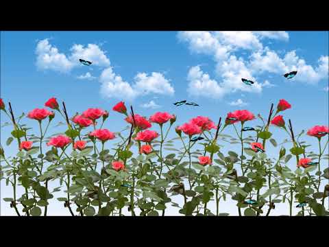 Hymns Lullaby - 10 Hours Great Deep Sleep Music - Baby Lullaby Music by Lifebreakthrough