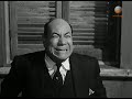 شوقى