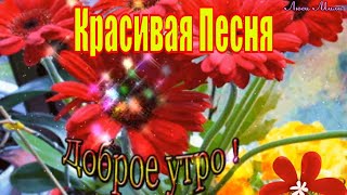 Доброе Утро ! Пусть Будет Все Отлично ! Красивая Песня Открытка С Добрым Утром И Хорошим Днем!