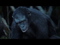 Dawn of the Planet of the Apes (2014) Online Movie