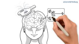 Microglia - A Potential Target For Rtms-Based Interventions Eichler Et Al., J Neurosci 2023
