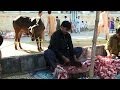 Cows slaughtered as Pakistan celebrates Eid al-Adha