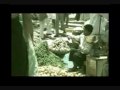 Indian youth