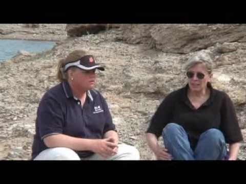 Burros on a Boat: A BLM burro gather at Lake Mead