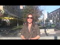 Не допустим депортации московских собак