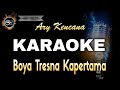 BOYA TRESNA KAPERTAMA ARY KENCANA - KARAOKE