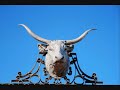 Stockyard Blues
