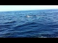 porto palo(menfi).........