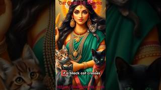 Cat Goddess In India