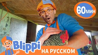 Песенка Про Ферму👩‍🌾 | Обучающие Песни Для Детей | Blippi Russian