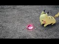 Pokemon Capture In Real Life || Pikachu ||