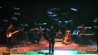 Watch Normals The Best I Can video