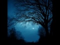 Leaving The Dead World.wmv
