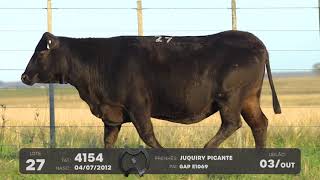 LOTE 27 - VENTRES BRANGUS - LEILÃO SÃO BIBIANO 2021