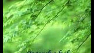 Watch Gary Valenciano I Believe video