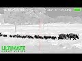 107 Hogs Down | Hog Hunting With Thermal Night Vision In Texas | Zeus Pro 640 107 Hogs Down | Hog Hunting With Thermal Night Vision In Texas | Zeus Pro 640