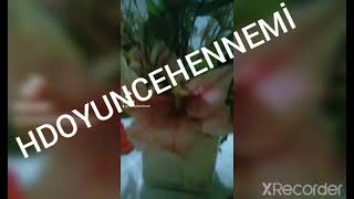 Hd Oyun Cehenemi Tiktoks Videosu İfşa