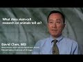 Watch Stem-Cell Research on Animals Video