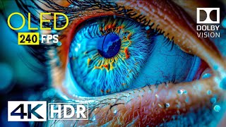 High Quality Real 12K Hdr Video Ultra Hd 240Fps 120Fps 60Fps Dolby Vision,For Your 8K 12K