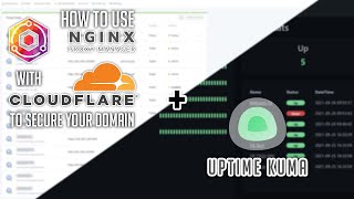 Secure Your Domain With Nginx Proxy Manager And Cloudflare Including Uptime Kuma Demonstration