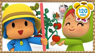 Pocoyo In English Full Episodes - Vegetable Garden 120 Min Videos And Cartoons For Children