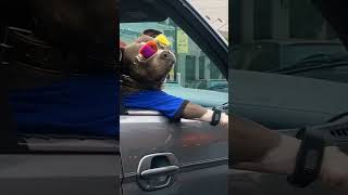 Dog Phonk