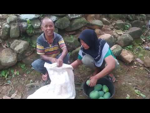 Suasana keren yang paling jos tak sama dengan tempat lain kampung guyub