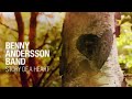 Song From The Second Floor Video preview