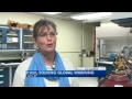 UT researchers aim to curb climate change
