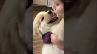 When My Girlfriend Kissing My Dog She Teaches How To Kiss Shorts